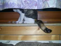 PIC_0877.webp
