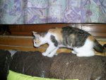 PIC_0874.jpg
