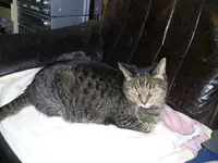 PIC_0876.webp
