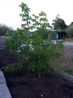 IMG-20180825-WA0005[1].webp