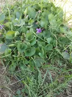IMG_20180826_104621.webp