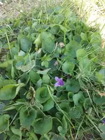 IMG_20180826_104624.webp