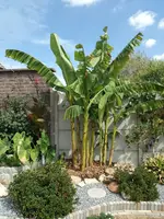 IMG_20180818_122707.webp