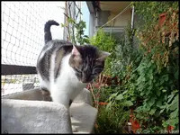 c001.webp