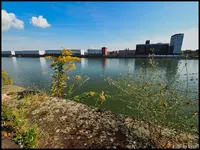 c003.webp
