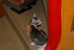DSC_0017.jpg