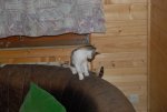 DSC_0019.jpg