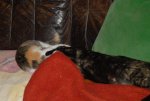 DSC_0021.jpg