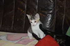 DSC_0022.webp