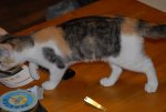 DSC_0026.jpg