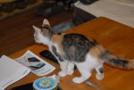 DSC_0027.jpg