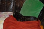 DSC_0028.jpg