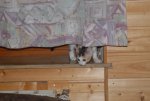 DSC_0030.jpg
