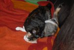DSC_0032.jpg