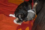 DSC_0033.jpg