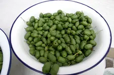 Weiki0707.webp