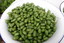 Weiki0807.jpg