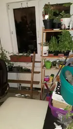 WhatsApp Image 2018-08-28 at 00.58.36(1).webp