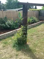 IMG_20180818_122716.jpg