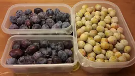 20180826_203810.webp