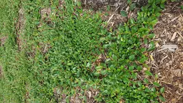 20180828_121609.webp