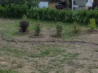 20180828_134421.webp