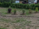 20180828_134421.jpg