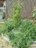 IMG_20180826_145459.webp