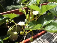 BILD0512.webp