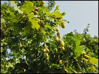 c011.jpg