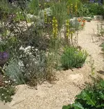 Kiesgarten1.webp