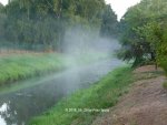 Forum Fluss Nebel 2018_08_29 P1100788.jpg