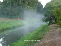 Forum Fluss Nebel 2018_08_29 P1100788.webp