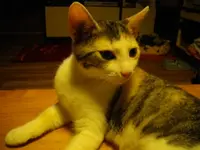 IMGP6702.webp
