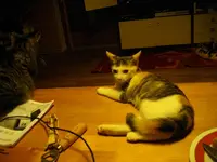 IMGP6694.webp