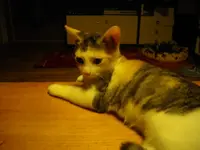 IMGP6695.webp