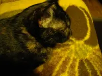 IMGP6698.webp