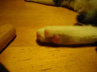 IMGP6699.webp