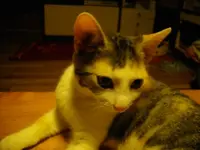 IMGP6700.webp