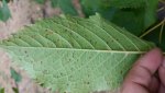 20180830_103139.jpg