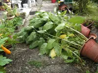 BILD0620.webp