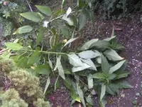 BILD0622.webp