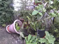 BILD0623.webp