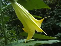 BILD0611.webp