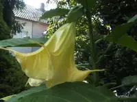 BILD0612.webp