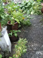 BILD0624.webp