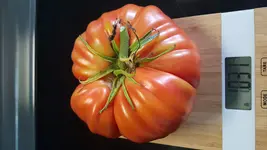 IMG-20180830-WA0007.webp