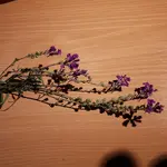 20180830_172319.webp