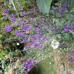 20180830_172444.jpg