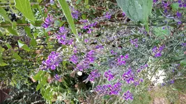 20180830_173131.webp